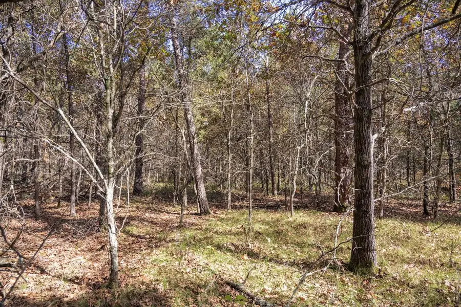 Lot 31 Morros Mile Road, Necedah, WI 54646 - #3