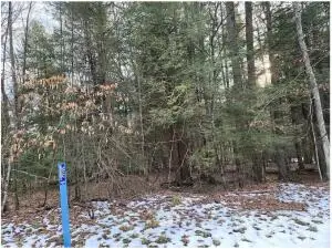 3088 Pluto Rd, Shady Springs, WV 25918