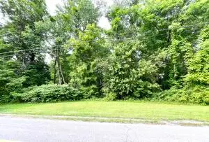 Lot 1 King Ave, Fayetteville, WV 25840