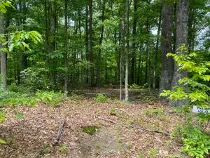 Scarlet Ln Lot 10 New River Gorge, Fayetteville, WV 00000 - #1