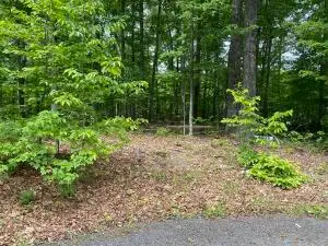 Scarlet Ln Lot 10 New River Gorge, Fayetteville, WV 00000 - #2