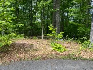 Scarlet Ln Lot 10 New River Gorge, Fayetteville, WV 00000 - #3