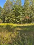 00 Ledgeview Dr, Fayetteville, WV 25840 - #1