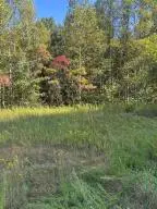 00 Ledgeview Dr, Fayetteville, WV 25840 - #2