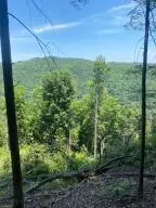 Lot 4 Ledgeview Dr, Fayetteville, WV 25840 - #2