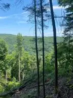 Lot 4 Ledgeview Dr, Fayetteville, WV 25840 - #3