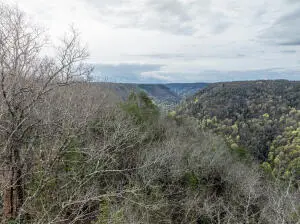 Lot 14 Peregrine Rdg Rd, Victor, WV 25938 - #3