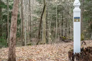 Lot 4 Peregrine Rdg Rd, Victor, WV 25938 - #1