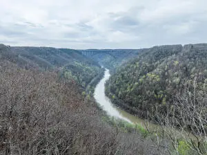 Lot 4 Peregrine Rdg Rd, Victor, WV 25938 - #3