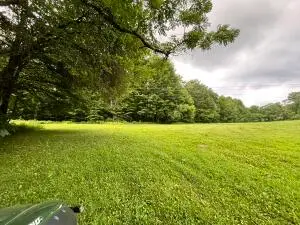 772 Leivasy Rd, Nettie, WV 26681 - #2