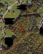 772 Leivasy Rd, Nettie, WV 26681 - #3