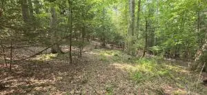 Bow Road/ Mt Lake Drive, Mt. Nebo, WV 26679