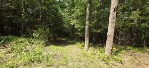 Bow Road/ Mt Lake Drive, Mount Nebo, WV 26679 - #2