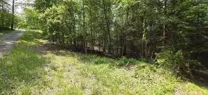 Bow Road/ Mt Lake Drive, Mount Nebo, WV 26679 - #3