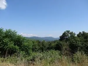 Lot 29 Katy Drive Overlook Greenbrier, White Sulphur Springs, WV 24986