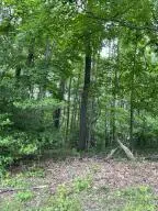 152 Second Avenue, Fayetteville, WV 25840 - #1