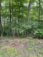 152 Second Avenue, Fayetteville, WV 25840 - #2