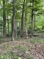 152 Second Avenue, Fayetteville, WV 25840 - #3