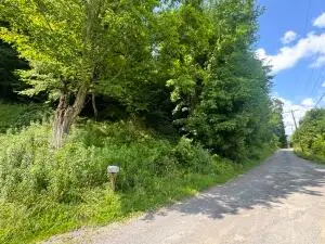 56 Maple St, Richwood, WV 26261 - #2