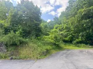 24 Boggs Ave, Richwood, WV 26261 - #1