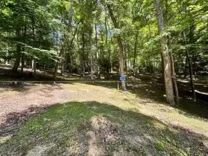 362 Heritage Farms Rd., Grant, WV 26675 - #1