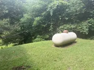 2195 Richwood Rd, Richwood, WV 26261 - #3