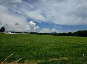 Rt 41, Summersville, WV 26651 - #1