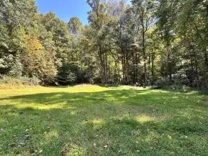 2133 Wilderness Hwy, Mount Nebo, WV 26679 - #3