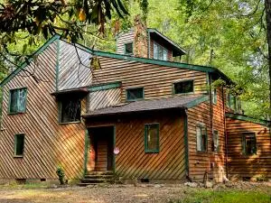 61 Deer Creek Road, Canvas, WV 26662 - #1