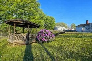 115 Dummitt Ave, Fayetteville, WV 25840 - #1