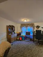 2374 Widen-dille Rd, Birch River, WV 26610 - #3