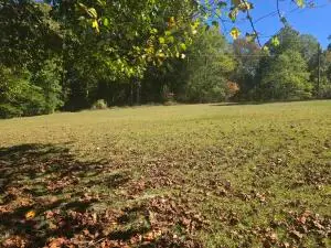 Boley Road, Mt. Nebo, WV 26679