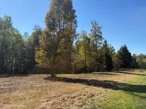 Sunset Ridge Lane, Mount Nebo, WV 26679 - #3