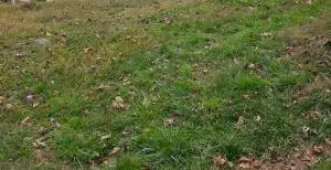 11 Abbott Ave, Webster Springs, WV 26288 - #1