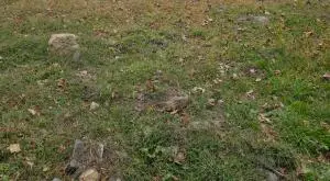 11 Abbott Ave, Webster Springs, WV 26288 - #2