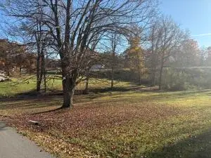 TBD Margaret Street, Summersville, WV 26651 - #2