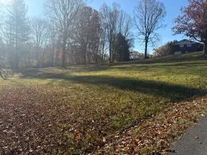 TBD Margaret Street, Summersville, WV 26651 - #3