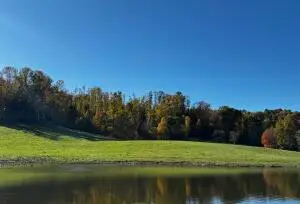 139 Timber Valley Rd, Canvas, WV 26662