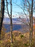 139 Timber Valley Rd, Canvas, WV 26662 - #2