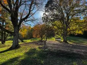 139 Timber Valley Rd, Canvas, WV 26662 - #3