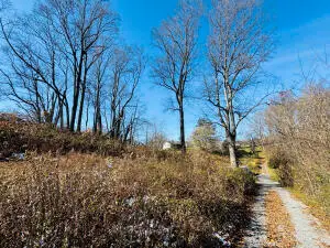 Virginia Street, Fayetteville, WV 25840 - #2