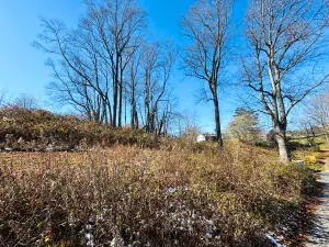 Virginia Street, Fayetteville, WV 25840 - #3