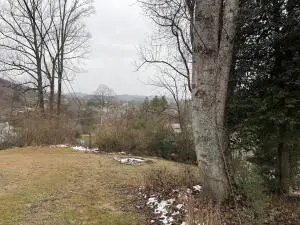 104 Banks St, Ansted, WV 25812 - #2