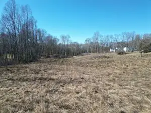 344 Deitz Rd, Mount Lookout, WV 26678 - #1