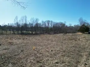 344 Deitz Rd, Mount Lookout, WV 26678 - #3