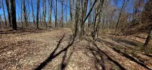 66 Elkins, Summersville, WV 26651