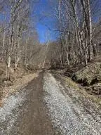 66 Elkins, Summersville, WV 26651 - #3