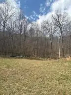 491 Grassy Creek, Webster Springs, WV 26288 - #2