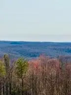 2355 Stringtown Rd, Hico, WV 25854 - #2