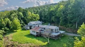 1061 Peaser Rd, Leivasy, WV 26676 - #2